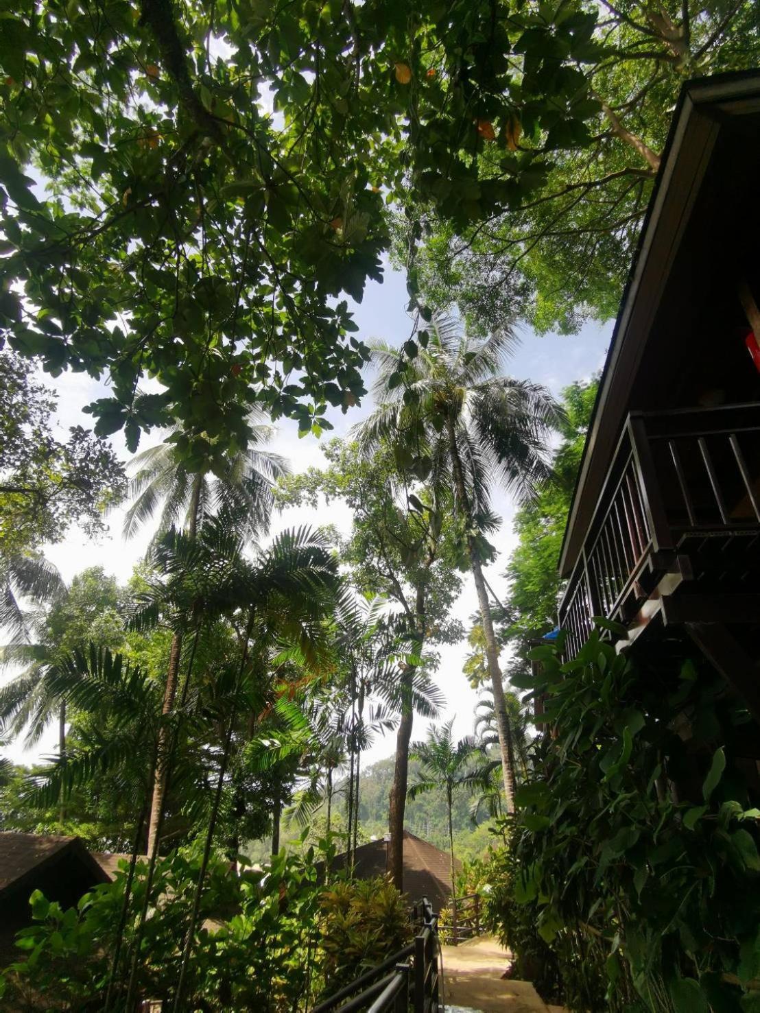 Baan Krating Khao Lak Resort - Sha Plus Kültér fotó