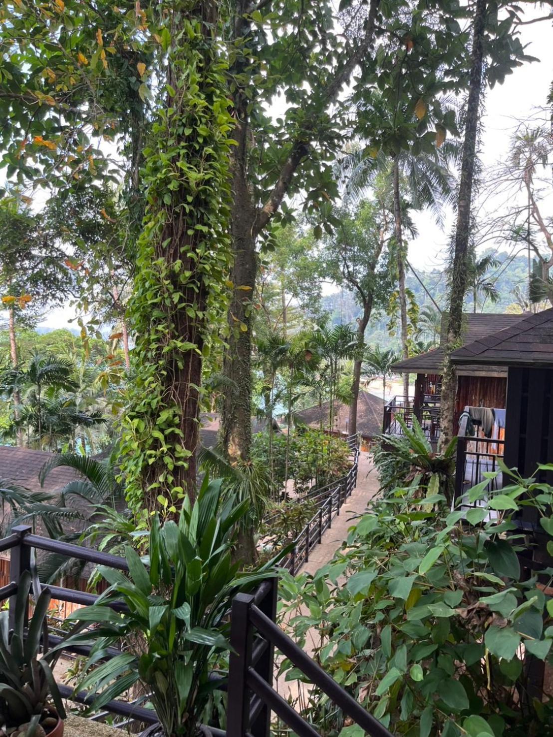 Baan Krating Khao Lak Resort - Sha Plus Kültér fotó