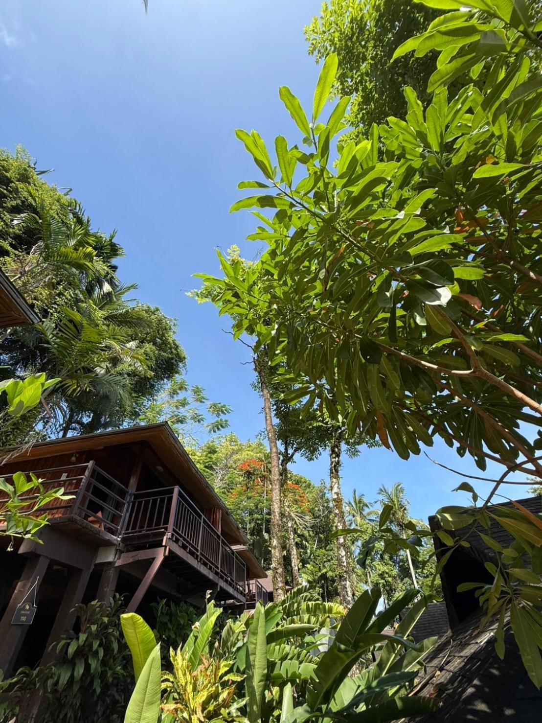 Baan Krating Khao Lak Resort - Sha Plus Kültér fotó